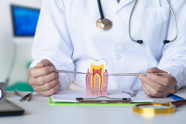 Best Dental Abscess Treatment in Mount Shasta, CA
